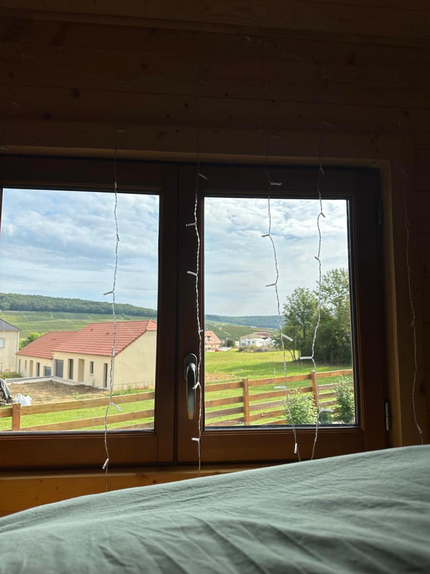 Chez Celia, Roulotte En Champagne Villa Fleury-la-Riviere Buitenkant foto