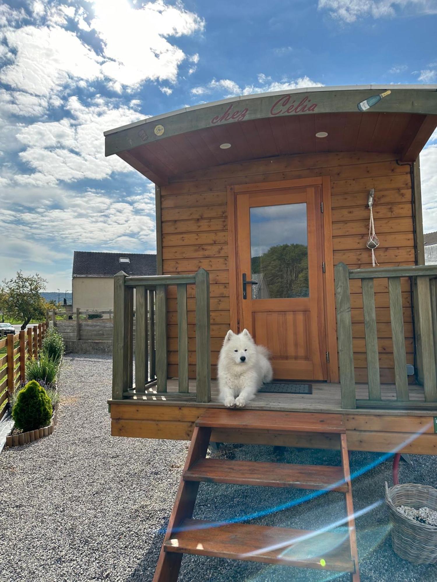 Chez Celia, Roulotte En Champagne Villa Fleury-la-Riviere Buitenkant foto