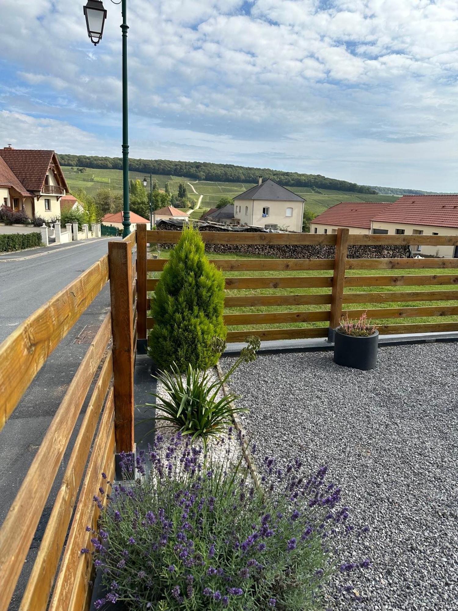 Chez Celia, Roulotte En Champagne Villa Fleury-la-Riviere Buitenkant foto